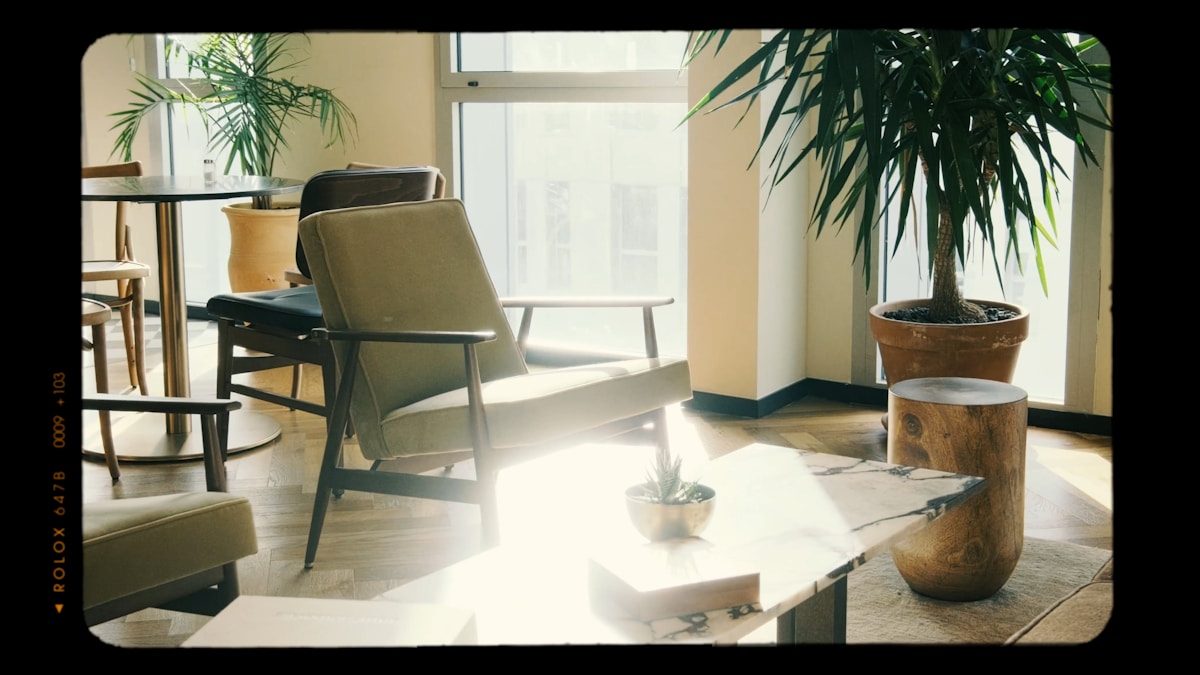 Biophilic Interior Design: How to Bring Nature Inside (European Sourcing Guide)